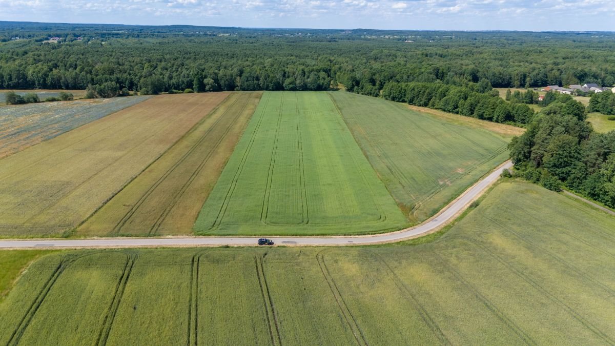 Działka budowlana na sprzedaż Woźniki, Czarny Las, Czarny Las  29 522m2 Foto 4