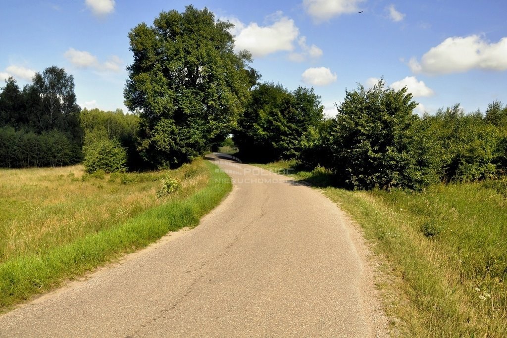 Działka rolna na sprzedaż Elganowo  23 300m2 Foto 9