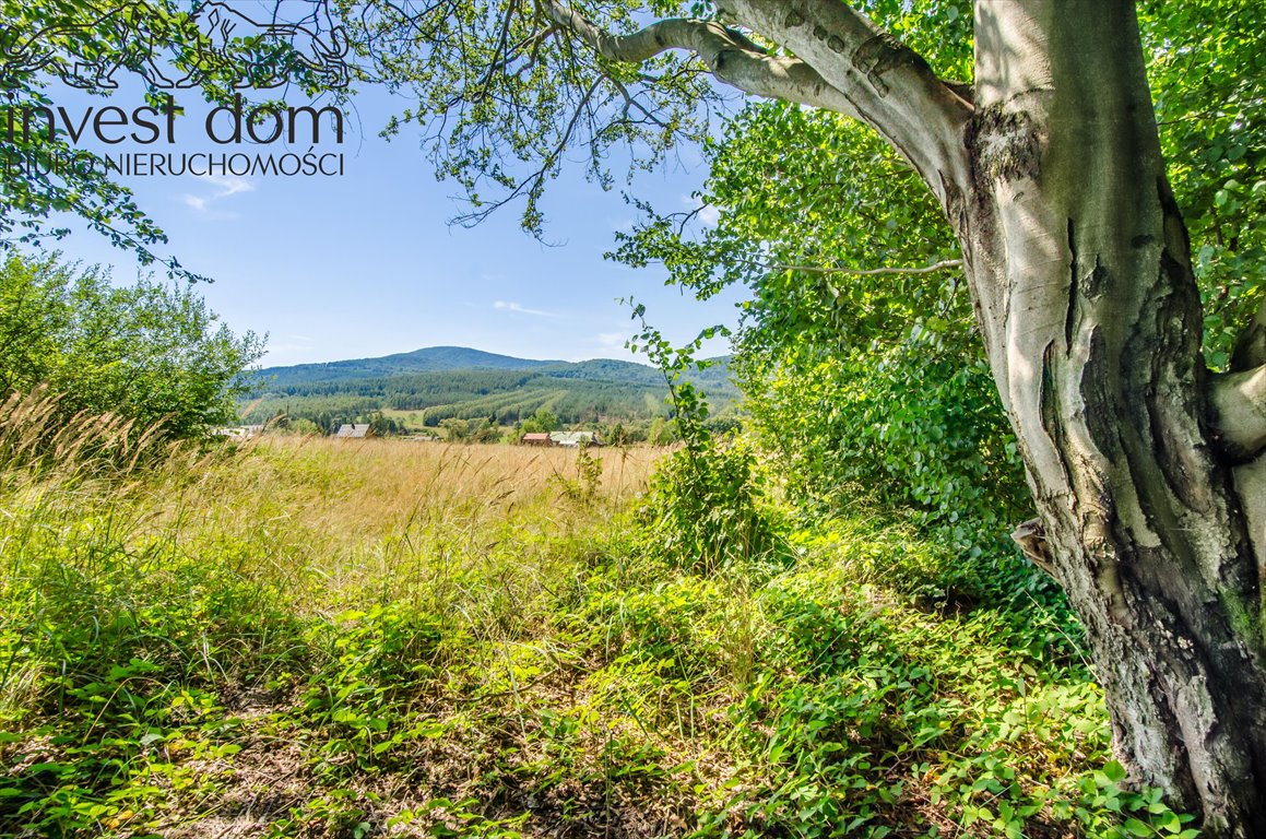 Działka 13,9 ha z widokami i dostępem do infrastruktury Wysowa-Zdrój  13 937m2 Foto 1