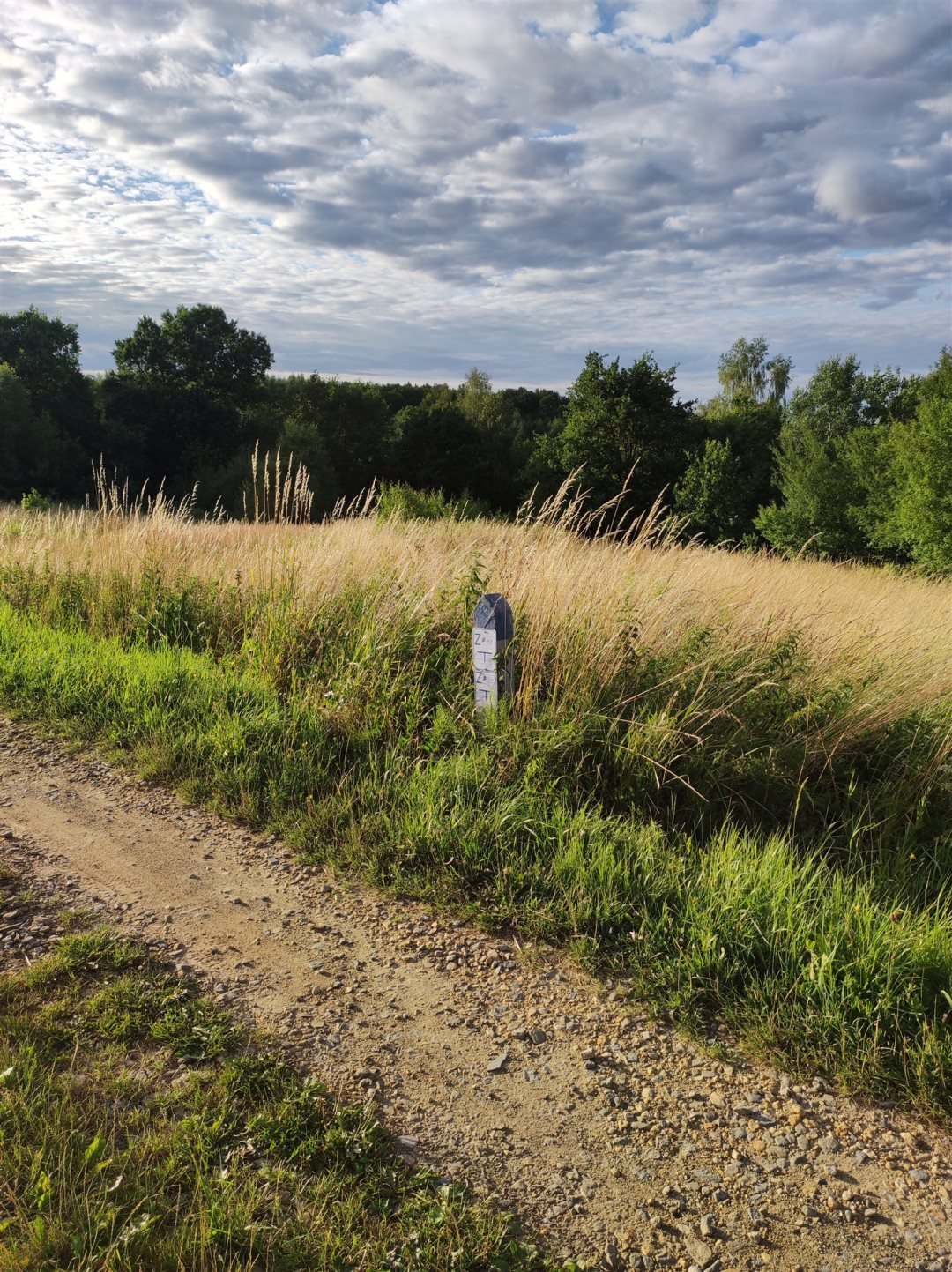 Działka budowlana na sprzedaż Poręba Spytkowska, Skalna  2 100m2 Foto 1