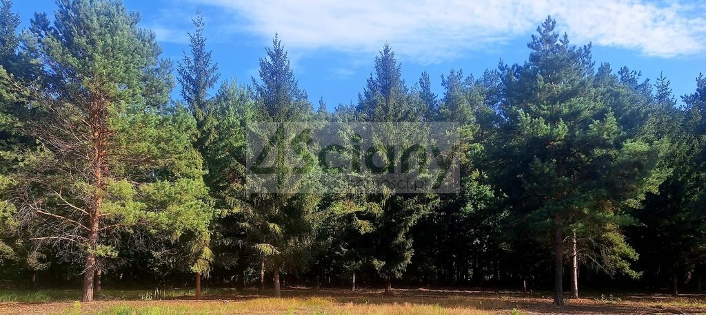 Działka 1200 m² w Adamowiźnie, MPZP, media - polecam! Adamowizna  1 200m2 Foto 1