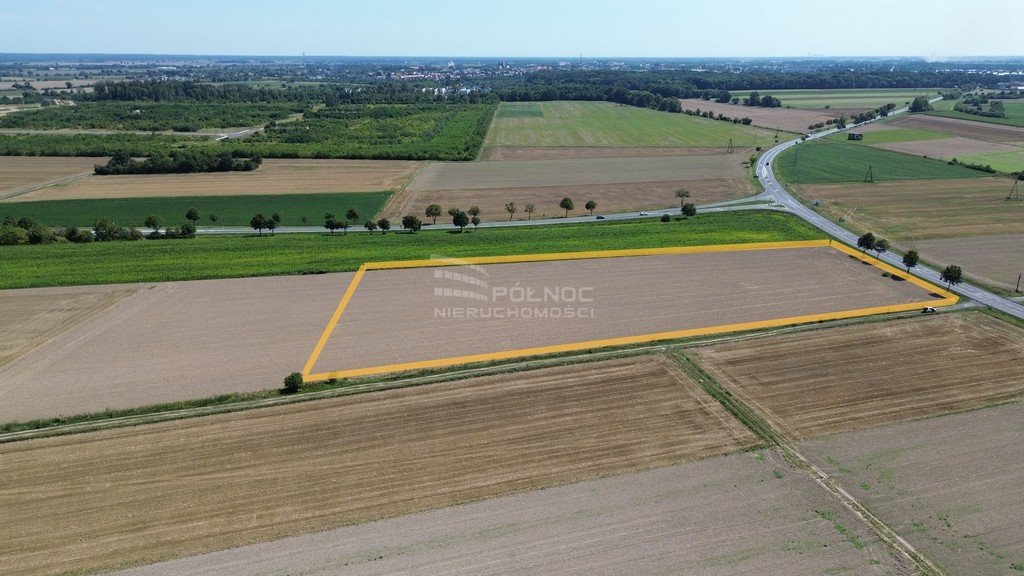 Działka budowlana na sprzedaż Zielęcice  19 300m2 Foto 3