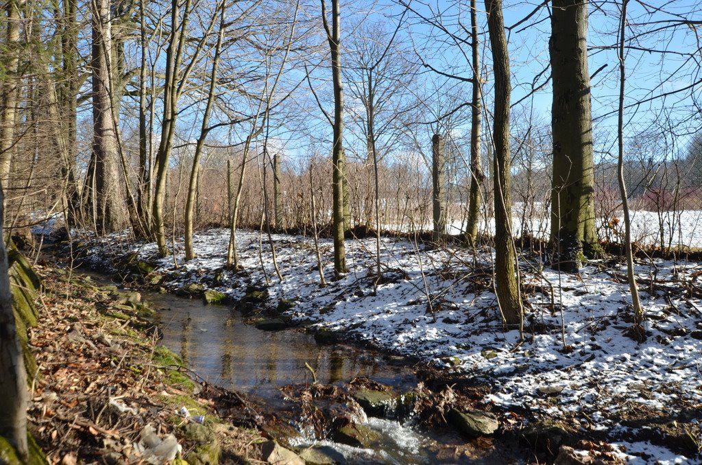 Lokal użytkowy na sprzedaż Mysłów  2 300m2 Foto 8