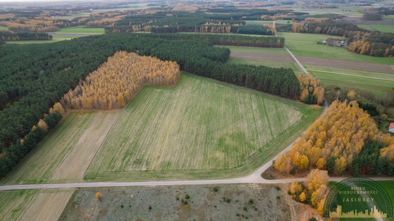 Działka rolna na sprzedaż Marusy, Marusy  42 469m2 Foto 6