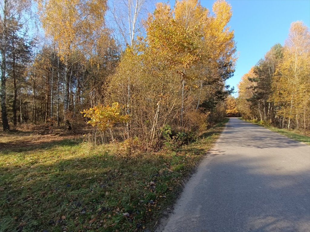 Działka inna na sprzedaż Włoszczowa, Dąbie  1 500m2 Foto 9