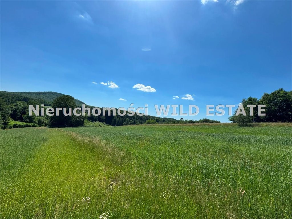 Działka z warunkami zabudowy 0,68 ha w Lalinie - polecam Sanok, Lalin  6 826m2 Foto 1