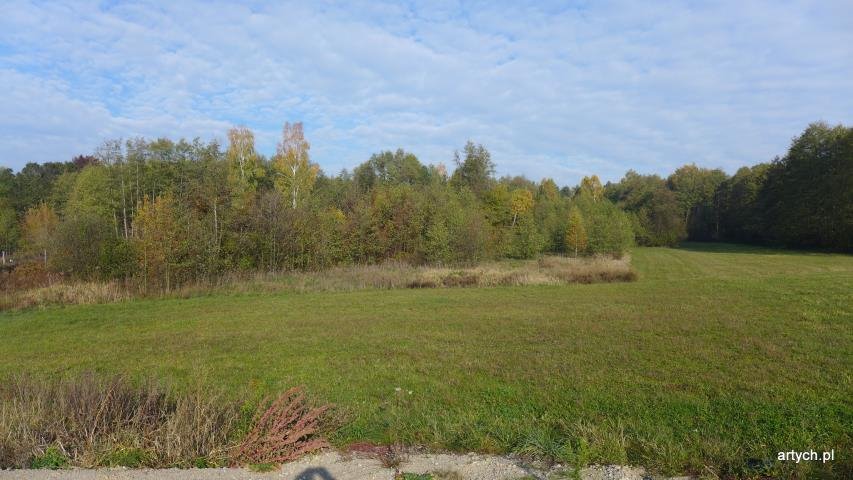 Spokojna działka 7 867 m² pod dom blisko zalewu Kupientyn Kupientyn  7 867m2 Foto 1