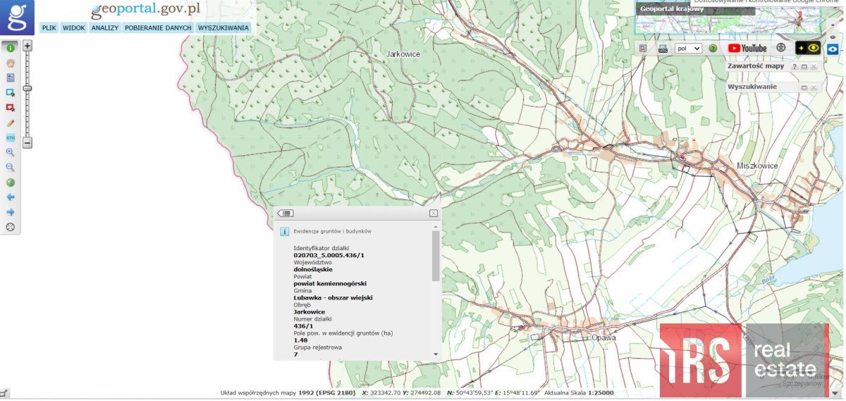 Działka budowlana na sprzedaż Jarkowice  15 000m2 Foto 5