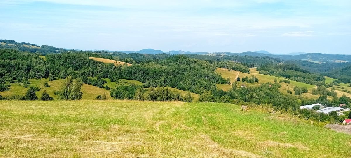 Działka budowlana na sprzedaż Michałkowa  1 200m2 Foto 4