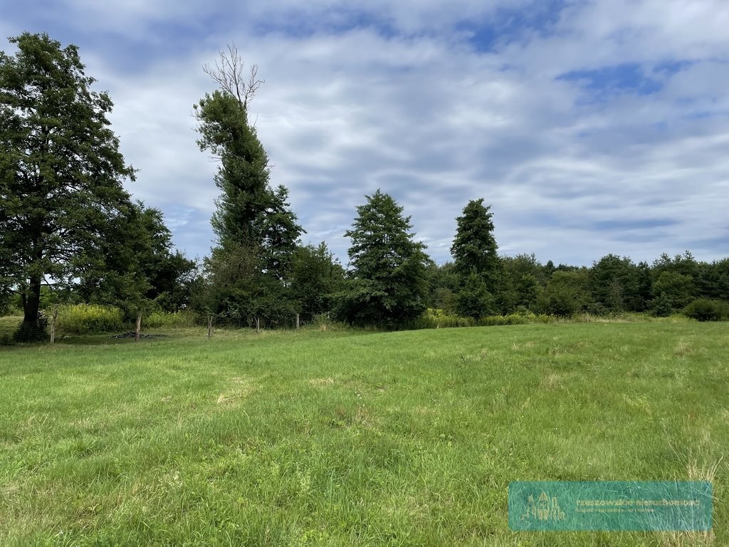 Działka budowlana na sprzedaż Radawa  3 400m2 Foto 2