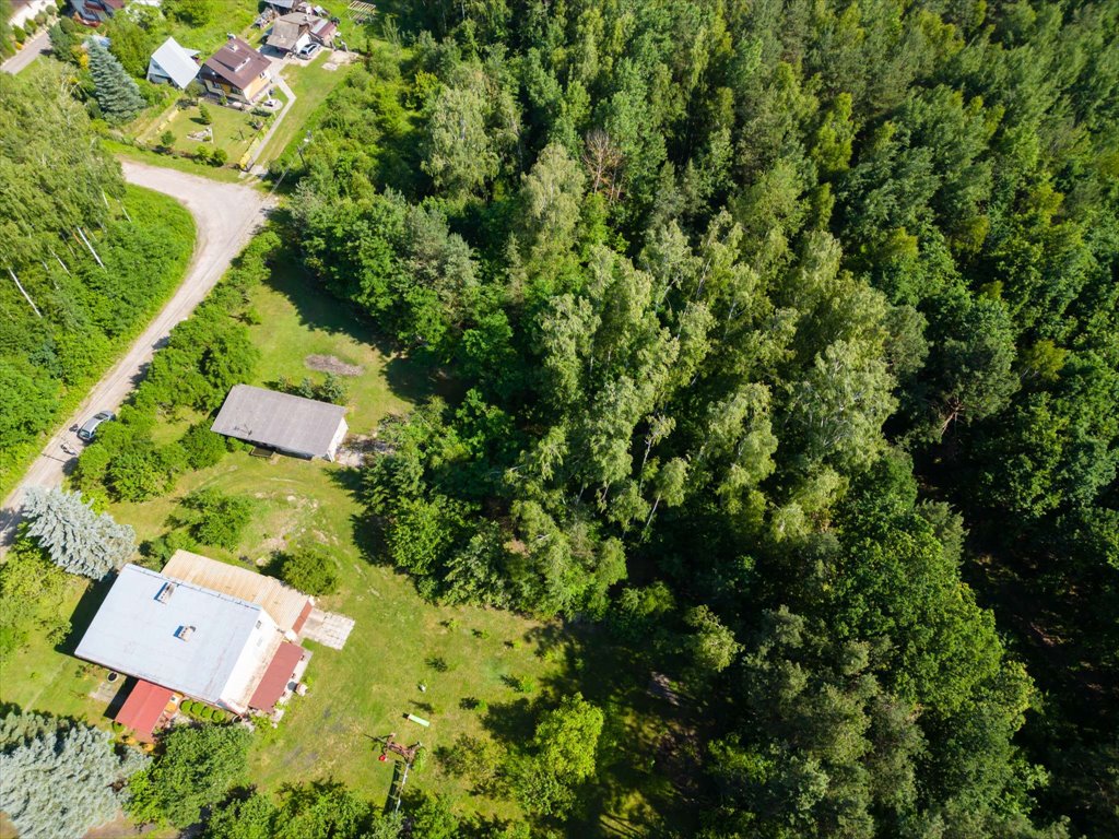 Działka budowlana na sprzedaż Ostrowiec Świętokrzyski, Las Rzeczki  2 356m2 Foto 7