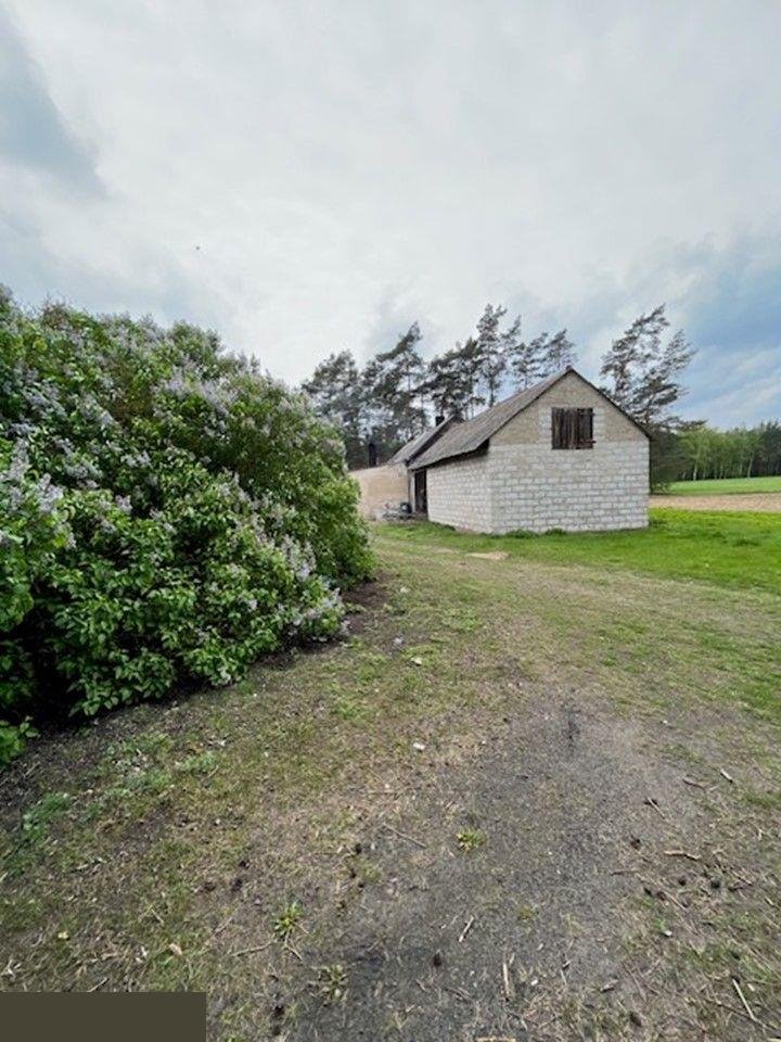 Działka rolna na sprzedaż Wierzbinek  103 000m2 Foto 3