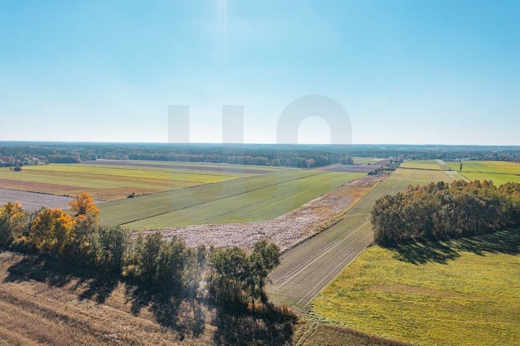 Działka budowlana na sprzedaż Krajęczyn  3 000m2 Foto 15