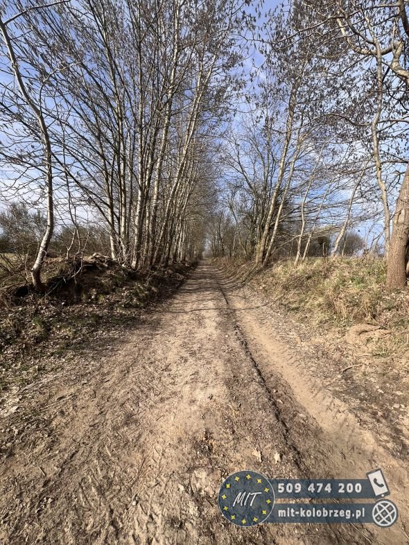 Działka budowlana na sprzedaż Nieżyn  4 800m2 Foto 8