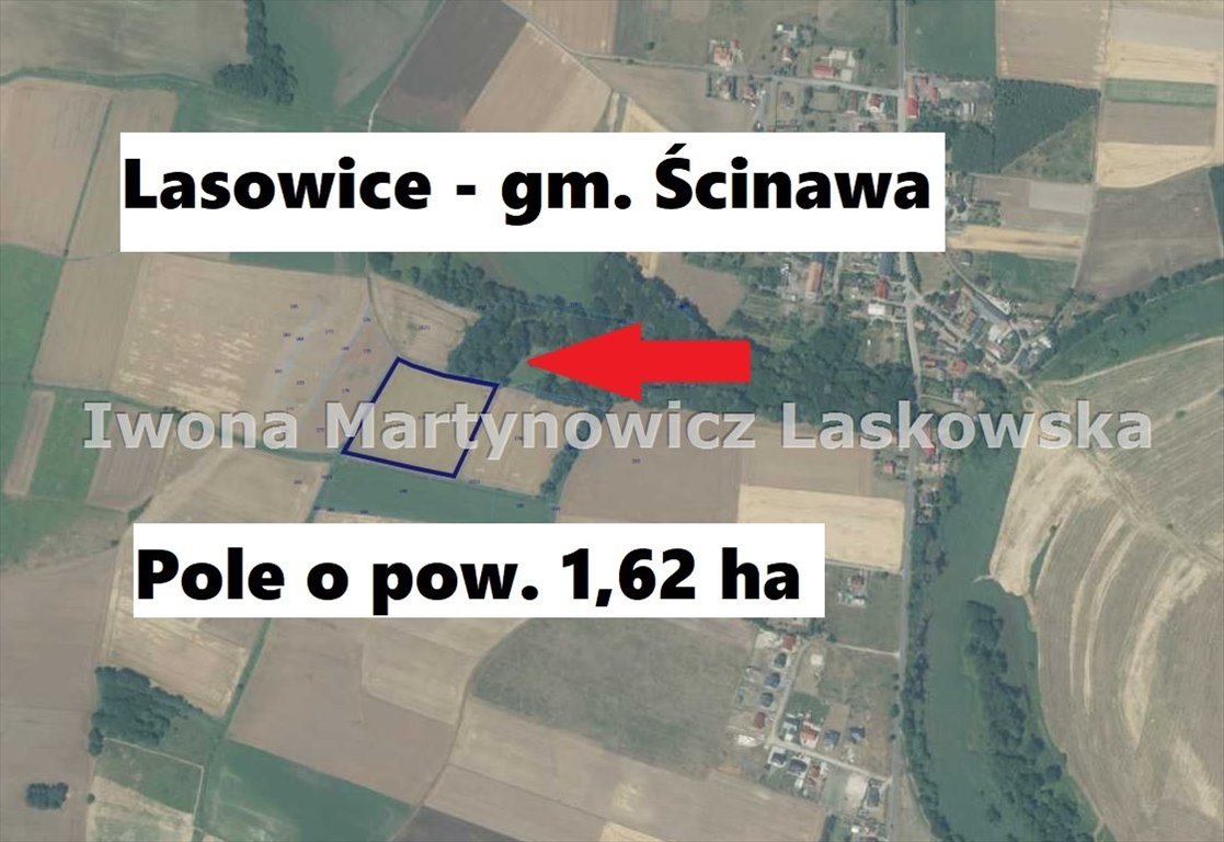 Działki rolne w Lasowicach, 2 ha, atrakcyjna cena Ścinawa  16 200m2 Foto 1