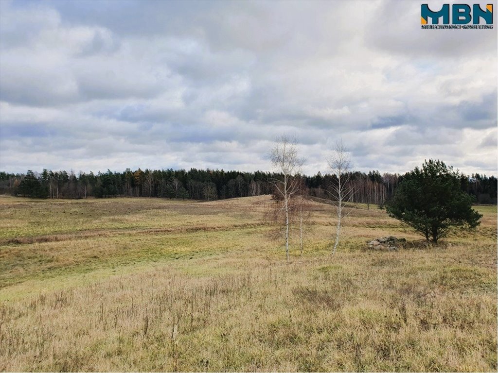 Działka rolna na sprzedaż Tuchlin, Tuchlin  65 579m2 Foto 17