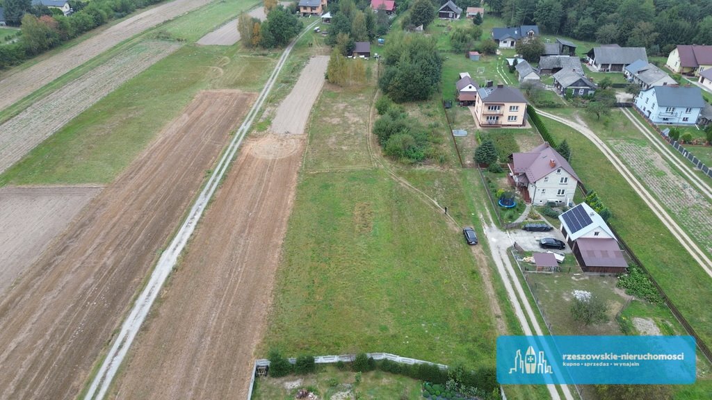 Działka budowlana na sprzedaż Krzywa  5 300m2 Foto 5