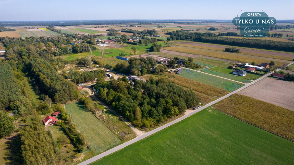 Działka budowlana na sprzedaż Krokocice  4 800m2 Foto 6