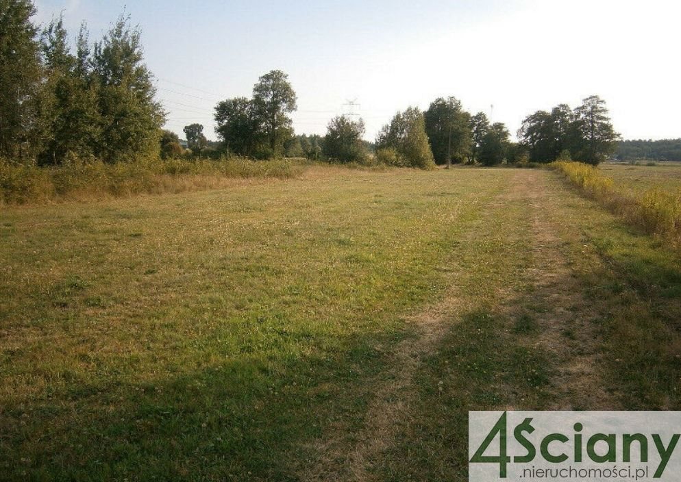 Działka budowlana na sprzedaż Michałów  7 900m2 Foto 2