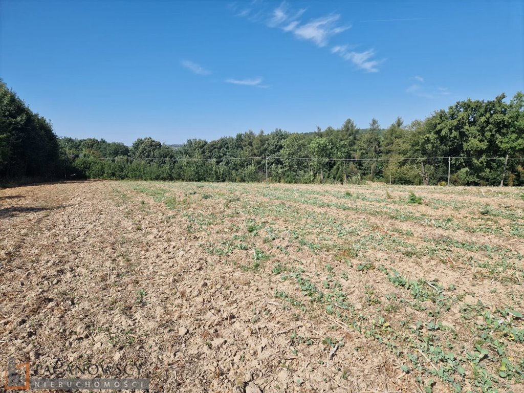 Działka siedliskowa na sprzedaż Narama  7 040m2 Foto 4