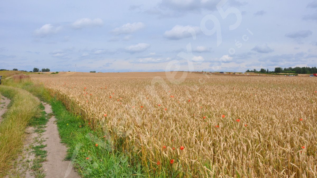 Działka budowlana na sprzedaż Swadzim  23 663m2 Foto 1