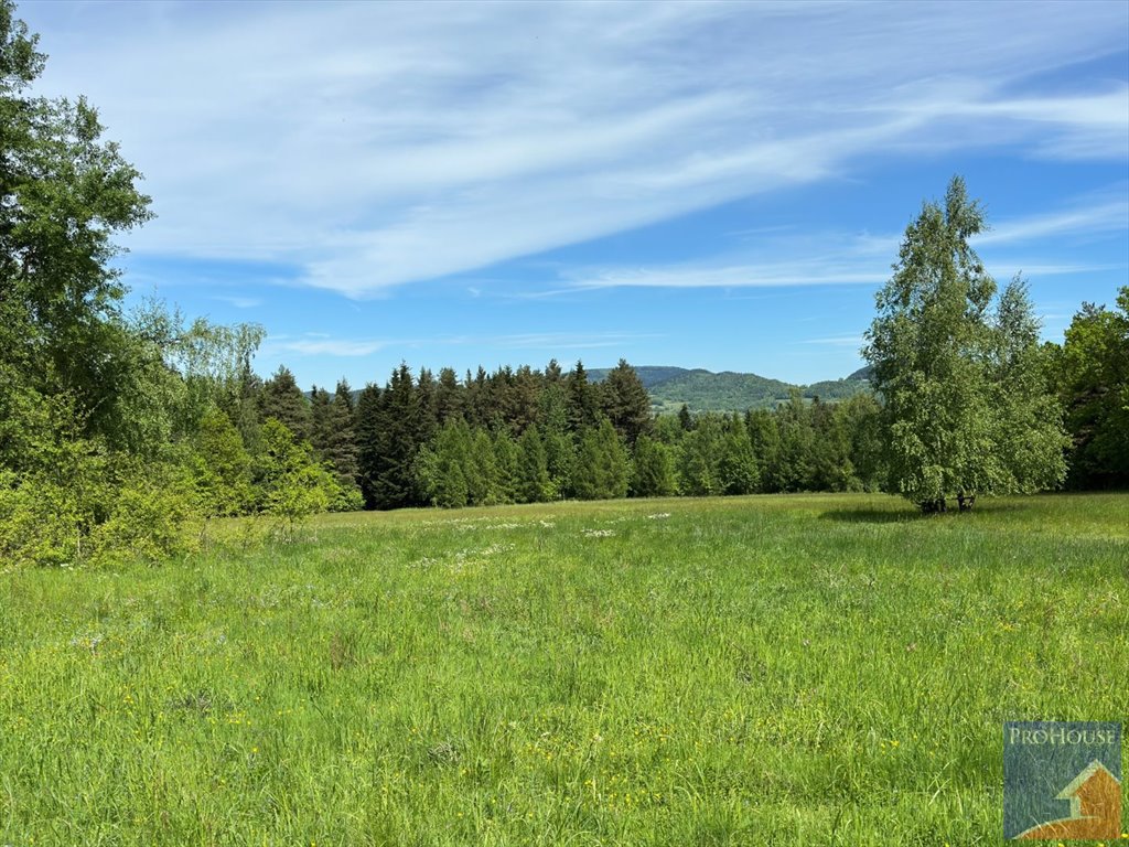 Działka leśna na sprzedaż Podłopień  5 200m2 Foto 6