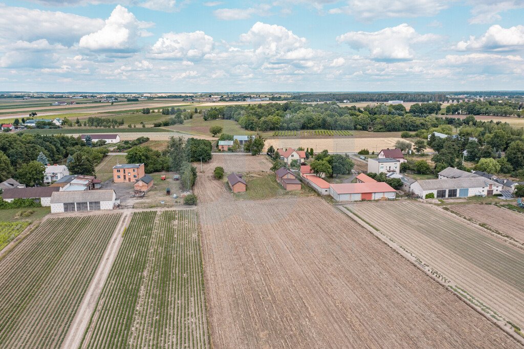 Działka budowlana na sprzedaż Henrysin  62 500m2 Foto 8