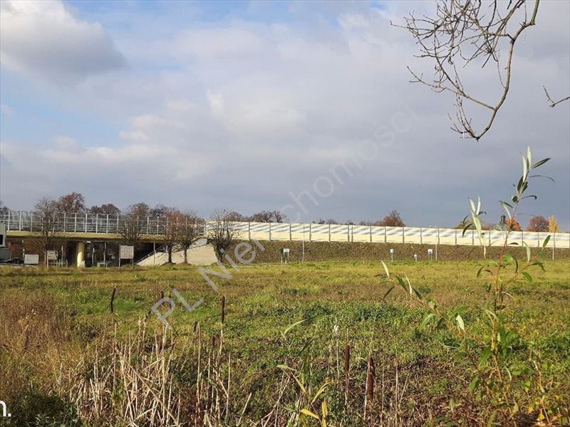 Do sprzedania inwestycyjna działka 16 959 m² z mediami Radziejowice-Parcel  16 959m2 Foto 1