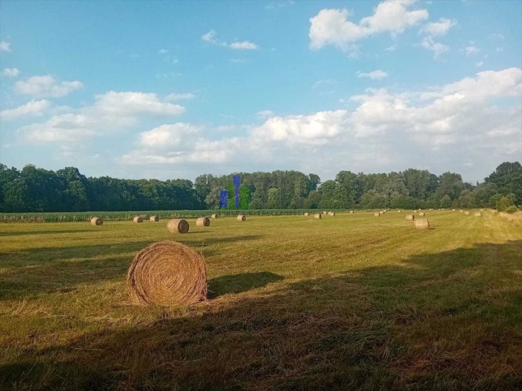 Działka rolna na sprzedaż Sadowice  7 400m2 Foto 5