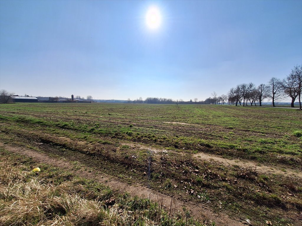 45 000 m² teren inwestycyjny przy drodze S8, pod produkcję Niwna  45 000m2 Foto 1