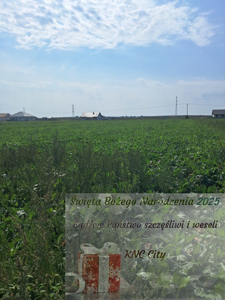 Działka budowlana na sprzedaż Puchaczów  1 594m2 Foto 1