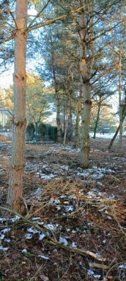 Działka budowlana na sprzedaż Aleksandria, Aleksandria Druga, Księżycowa  1 267m2 Foto 11