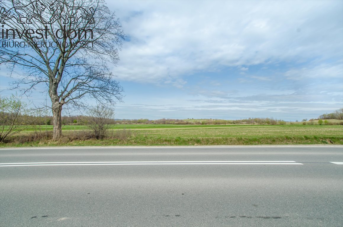 Działka inwestycyjna 6370 m² przy drodze wojewódzkiej - polecam! Kryg  6 370m2 Foto 1