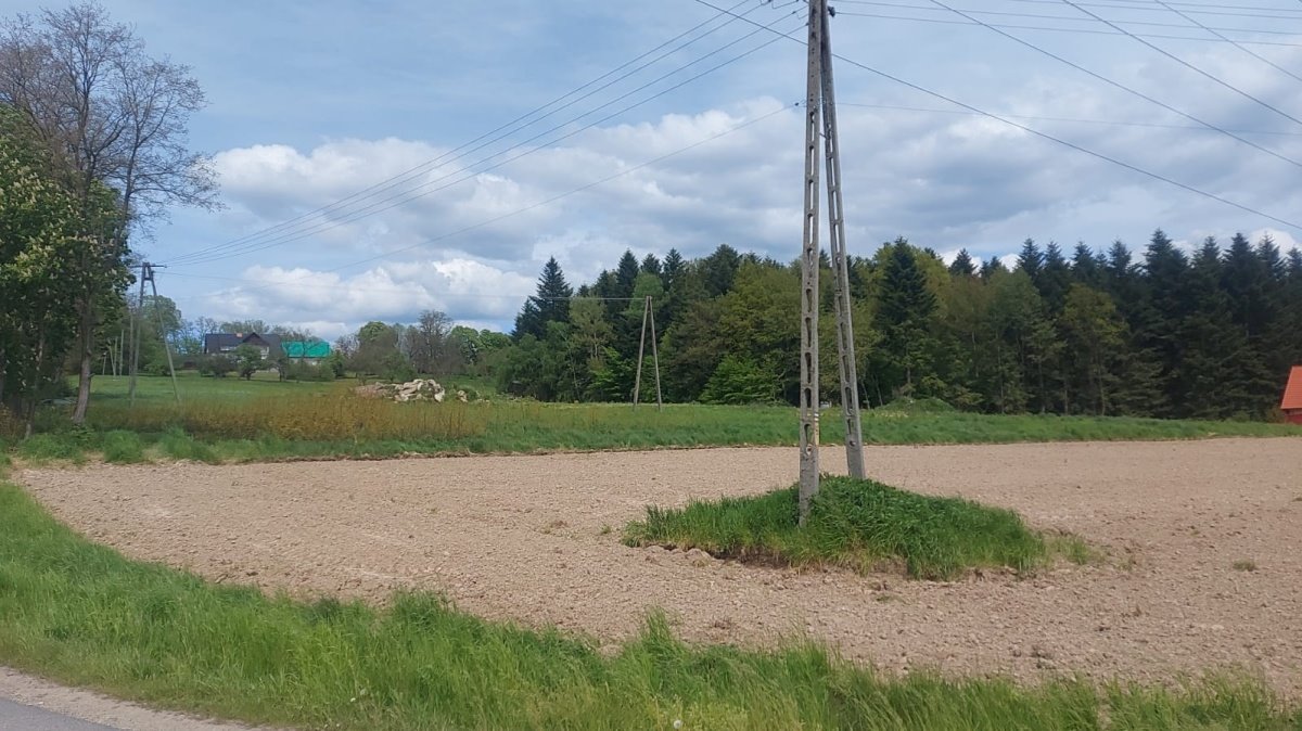 Działka budowlana na sprzedaż Ciężkowice, Ciężkowice, Kąśna Górna  1 000m2 Foto 9