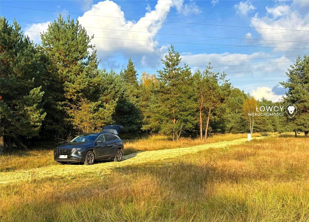 Działka budowlana na sprzedaż Sosnowiec  872m2 Foto 17