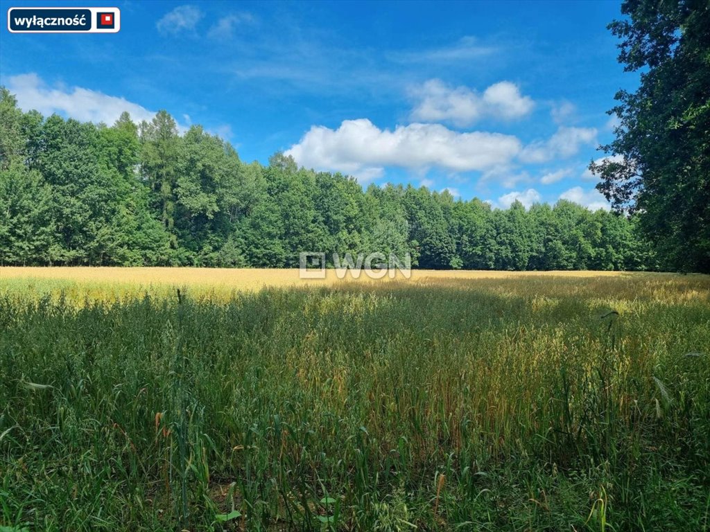 Działka inna na sprzedaż Bełcząc  1 063m2 Foto 4