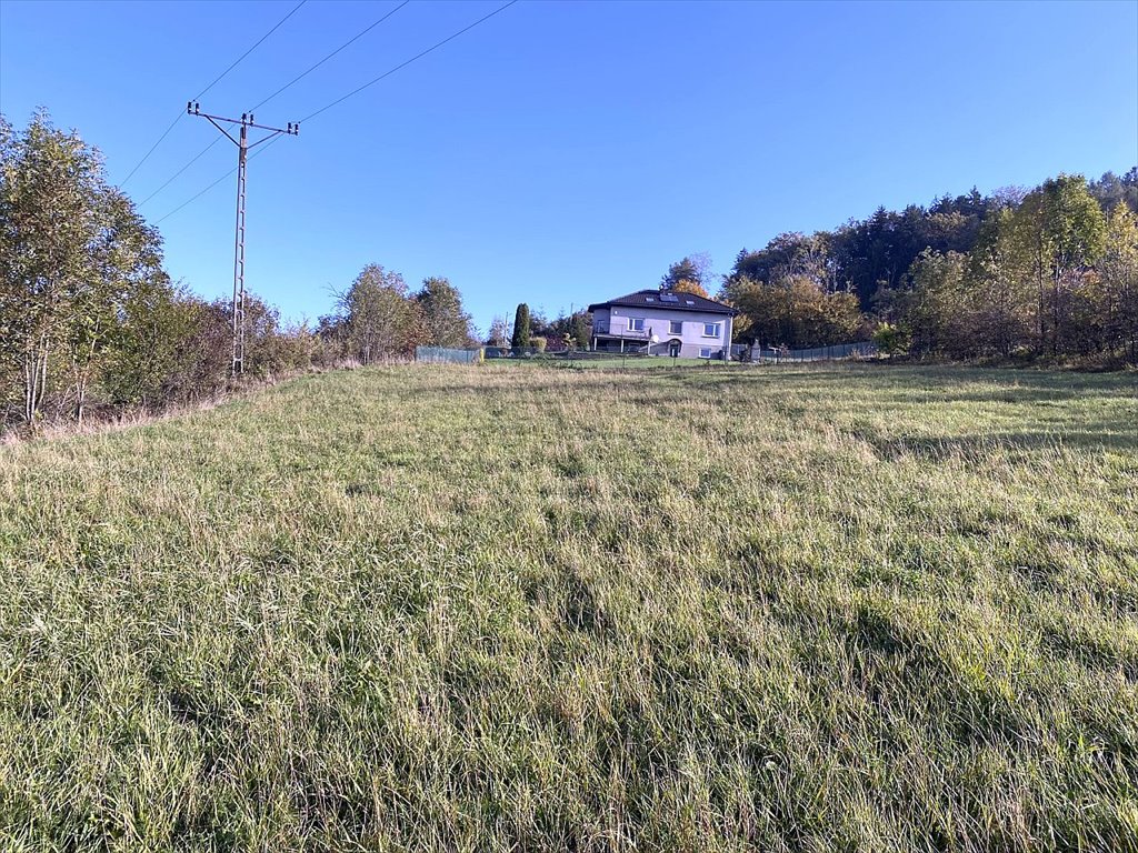 Działka budowlana na sprzedaż Goleszów, Goleszów, Pilotów  1 593m2 Foto 4