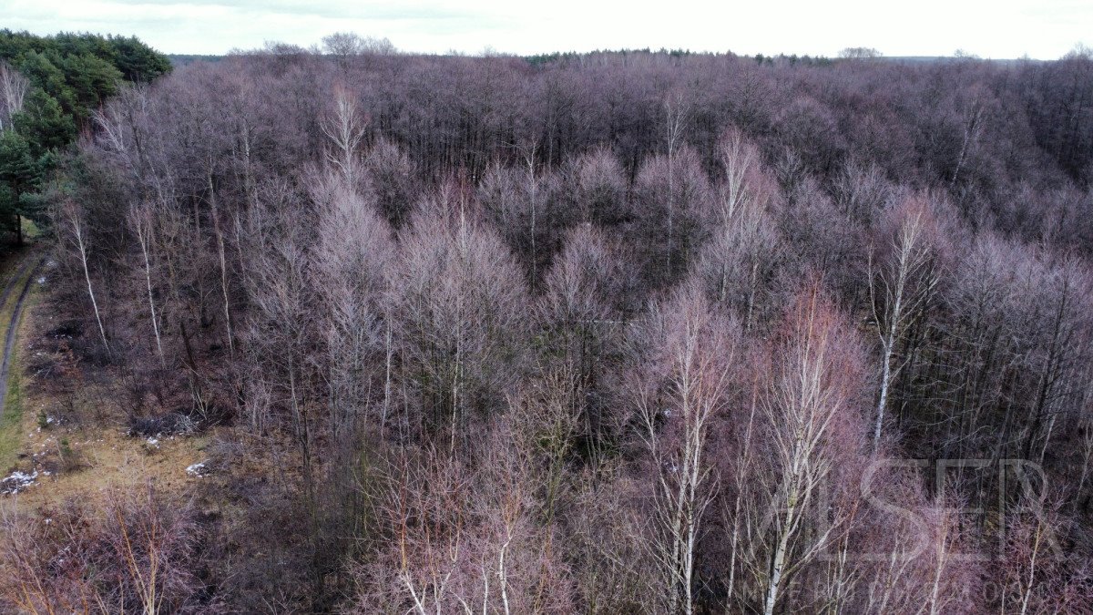 Działka budowlana na sprzedaż Ławki, Wrzosowa  1 000m2 Foto 12