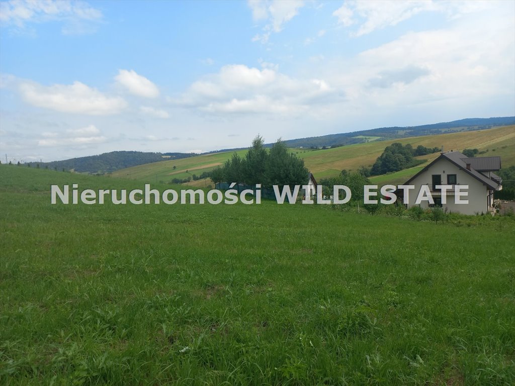 Działka budowlana na sprzedaż Baligród, Mchawa  2 171m2 Foto 4