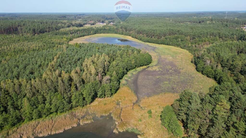 Działka siedliskowa na sprzedaż Pięćmorgi  3 292m2 Foto 17