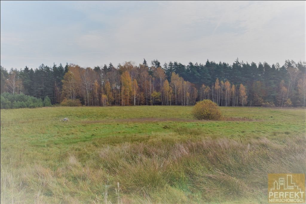 Działka rolna na sprzedaż Wilczany, Wieś Wilczany, Przy Lesie  13 113m2 Foto 1