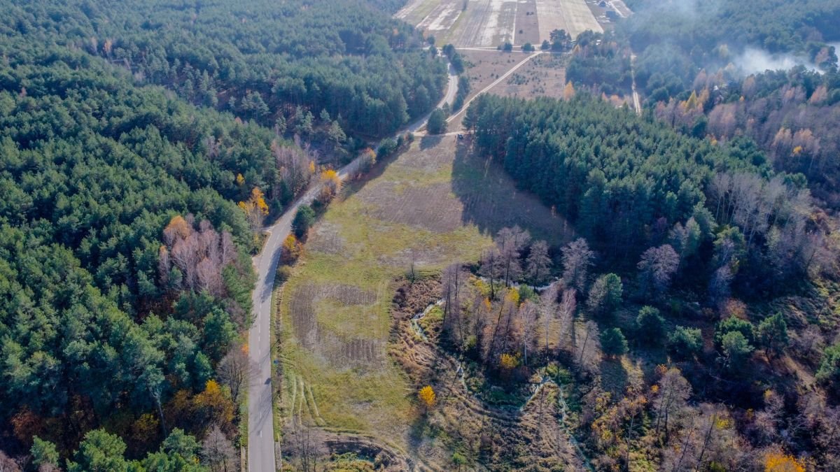 Działka rekreacyjna na sprzedaż Grądy Szlacheckie  15 400m2 Foto 8