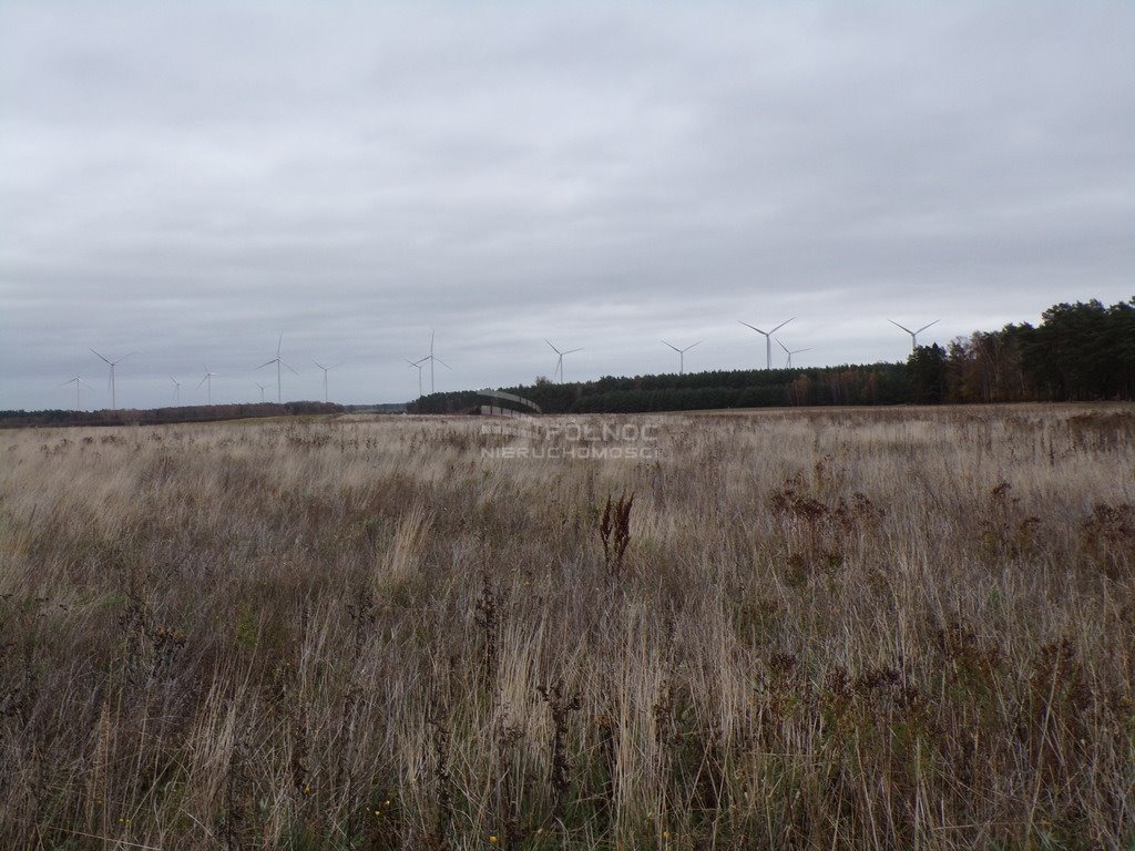 Działka budowlana na sprzedaż Głobino, Główna  1 000m2 Foto 9