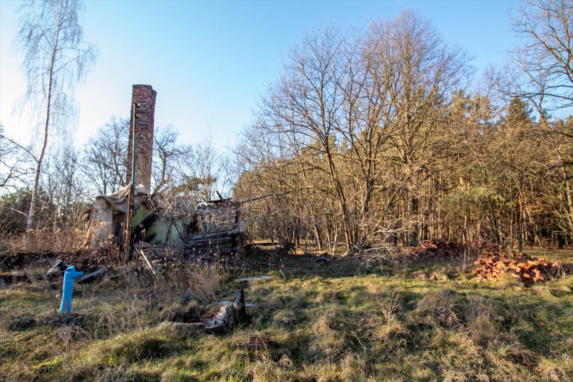 Działka budowlana na sprzedaż Tanina, Brasowe  80 411m2 Foto 9