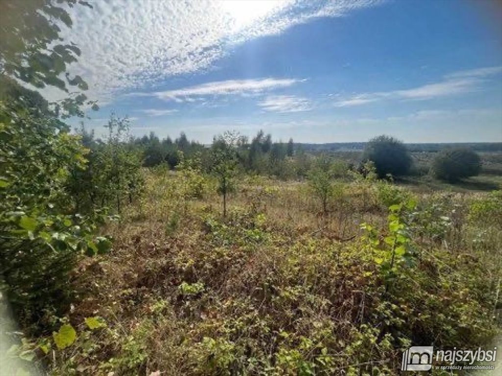 Działka 1378 m2 z warunkami zabudowy, blisko Goleniowa Żółwia Błoć  1 378m2 Foto 1