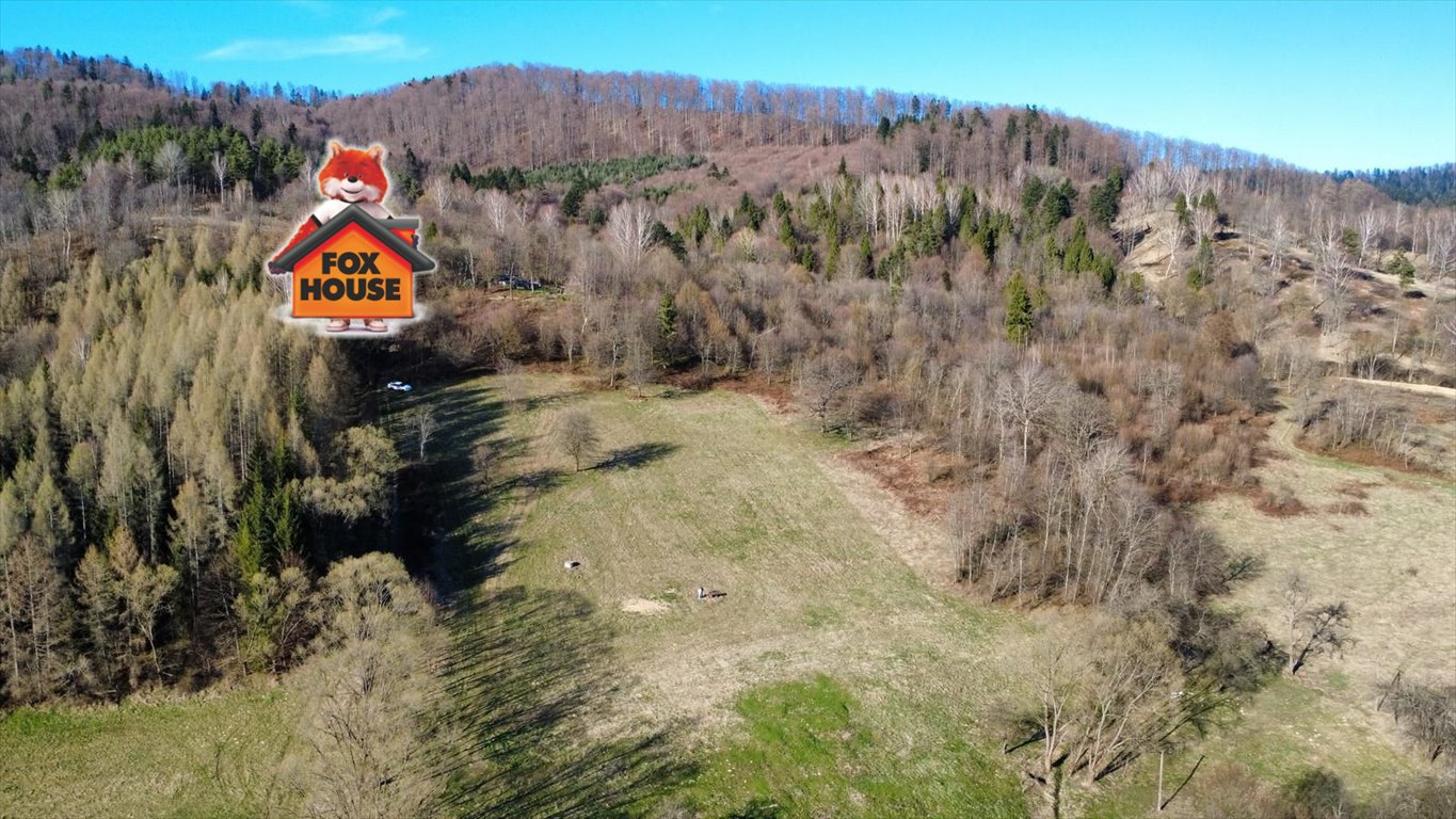 Działki budowlane w Polanie (8 424 m²) z widokiem na las Polana  8 425m2 Foto 1