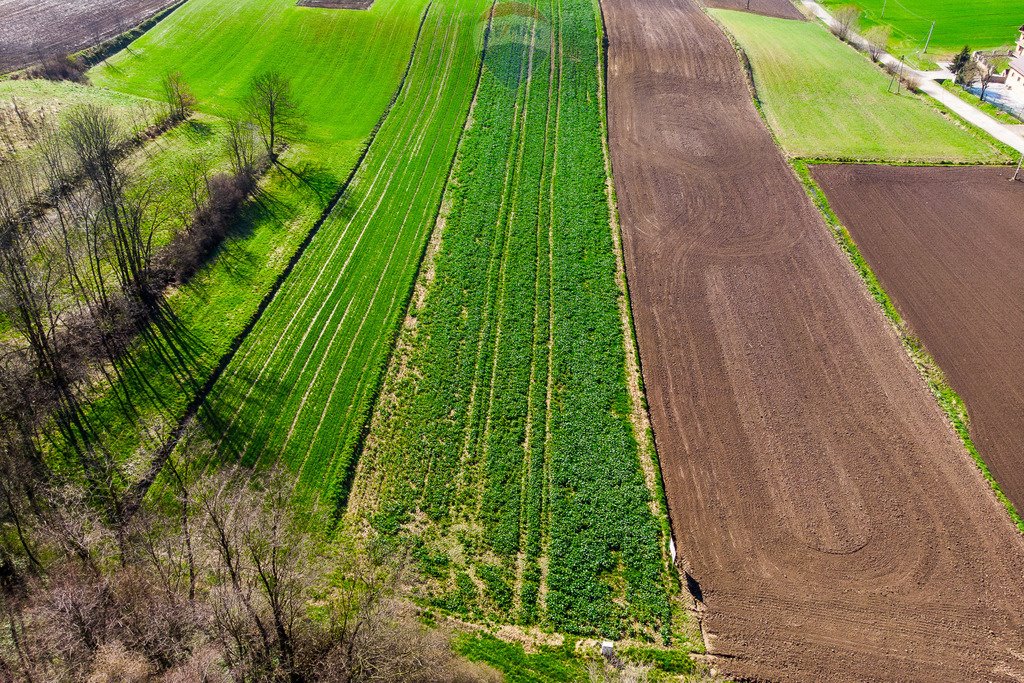 Działka rolna na sprzedaż Sierosławice  3 300m2 Foto 4