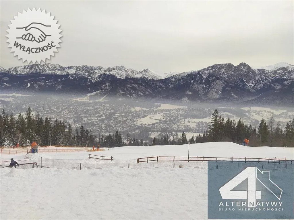 Działka rolna na sprzedaż Zakopane, Droga Zubka 21  3 388m2 Foto 3