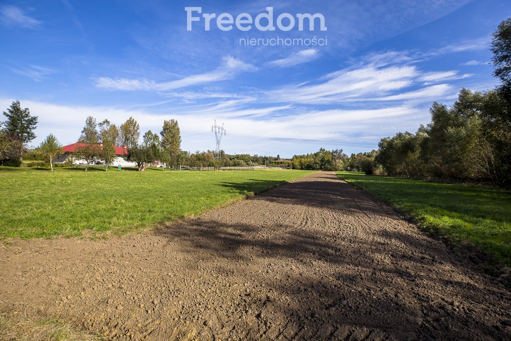 Działka inwestycyjna na sprzedaż Niechobrz  6 000m2 Foto 12