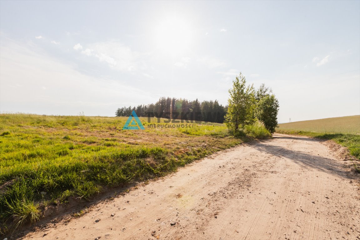 Działka budowlana na sprzedaż Przetoczyno, Malinowa  1 110m2 Foto 12